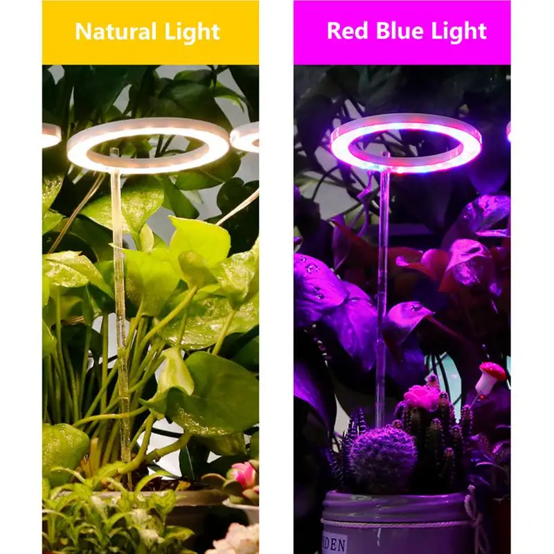 Светильник Для выращивания растений, лампа полного спектра для растений, прекрасный круглый светильник для растений, регулируемые по яркости светодиодные лампы для роз, зеленого укропа - 0