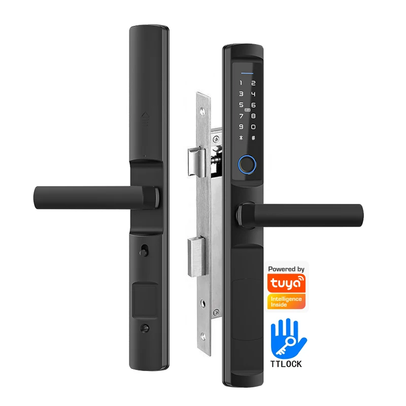 Водонепроницаемый магнитный электронный смарт-замок Wifi для ворот с приложением Tuya Smart life, цифровые замки для раздвижных дверей - 1